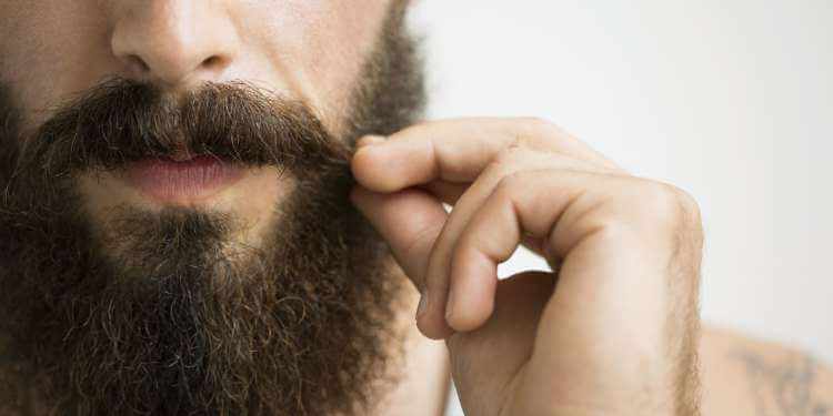 cuidado de la barba cuidado de la barba